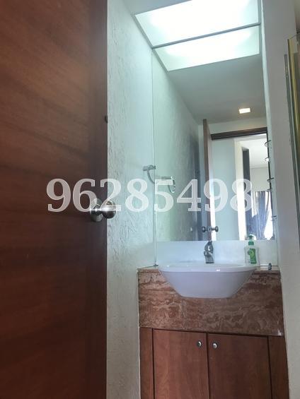 The Clearwater (D16), Condominium #163653682